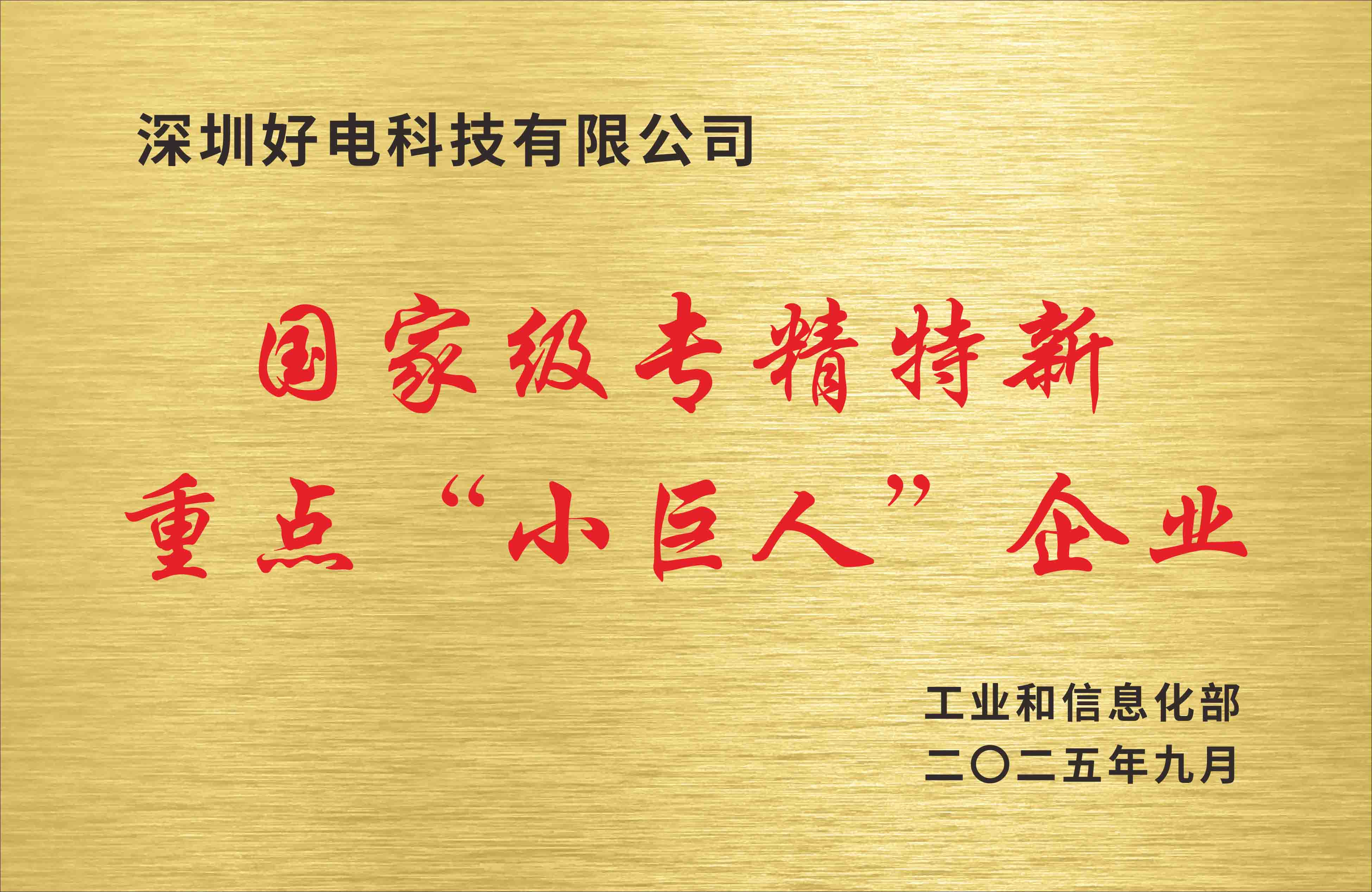 喜报！好电科技获评国家级重点“小巨人”企业