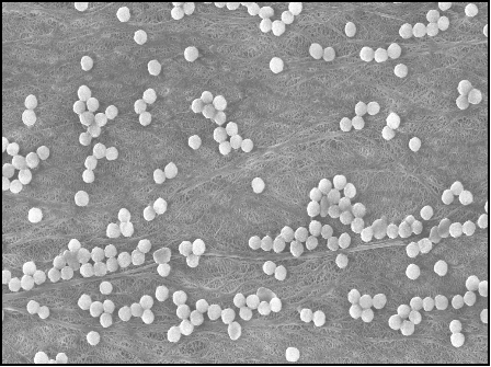 1768545612231989.png 图片2.png