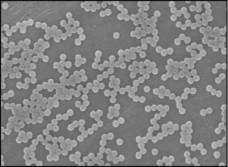 1768546023470046.png image 3.png